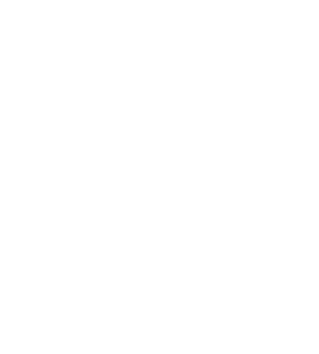 Expert Real Estate Advisor - Mario Boemer